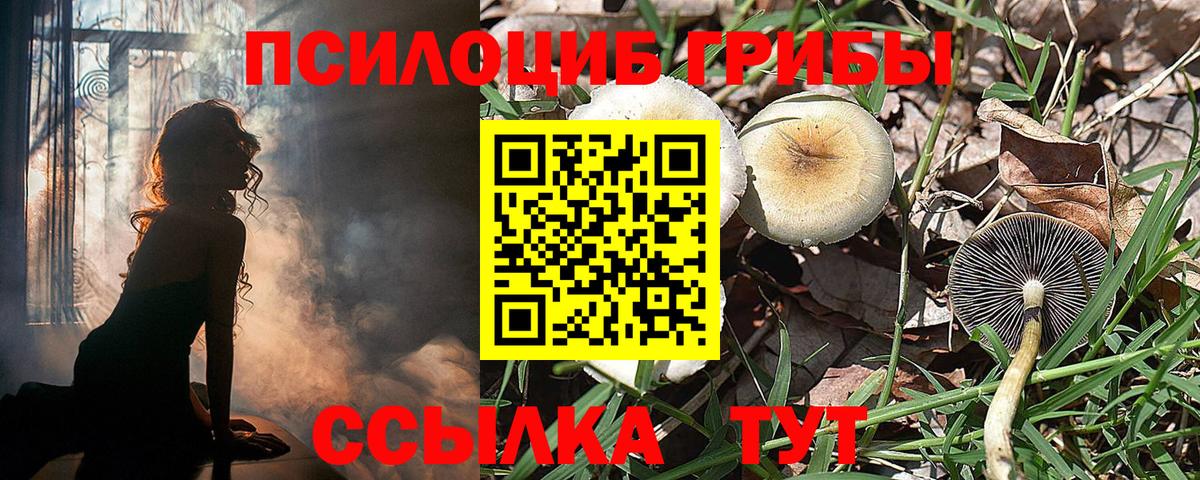Галлюциногенные грибы Cubensis Старый Оскол